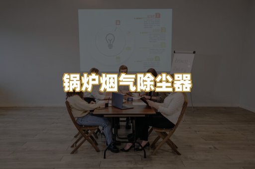 锅炉烟气除尘器